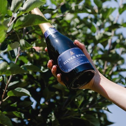 View Silver Reign Brut English Sparkling Wine 75cl number 1